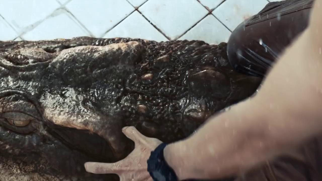 The Pool (2018) BluRay Hin + Ta Te Kn Th 720p x264 AVC AAC 2.0.mkv.0004